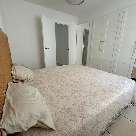 Flor De Pascua Gigantes