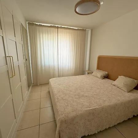 Flor De Pascua Gigantes *