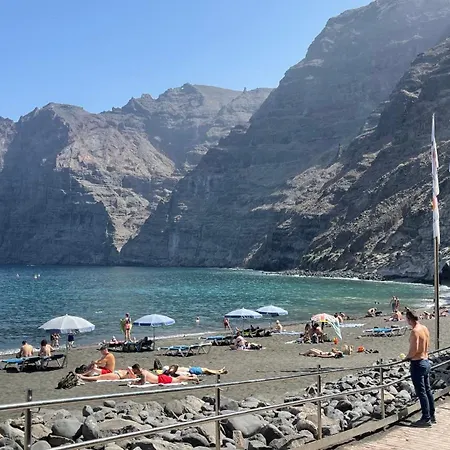 Flor De Pascua Gigantes * Acantilado de los Gigantes